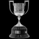 Spanish Cup winner