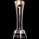 Campeones Cup Winner