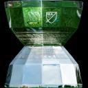 League Cup Winner